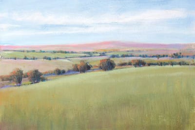 Hill Country II by Tim O'Toole framed wall art