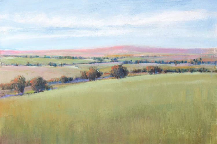Hill Country II by Tim OToole wall art