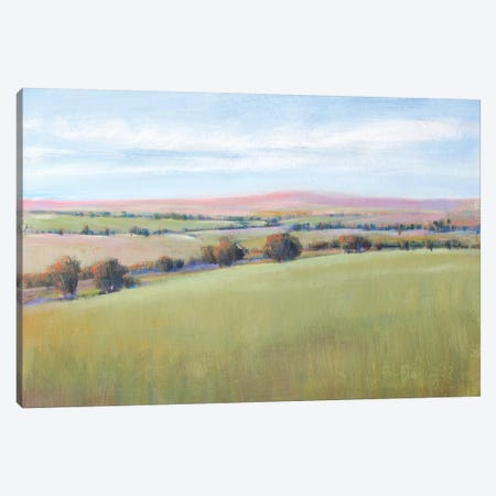 Hill Country II Canvas Print #TOT566} by Tim OToole Art Print