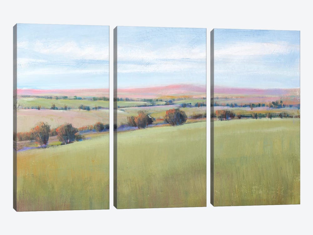 Hill Country II by Tim OToole 3-piece Canvas Print