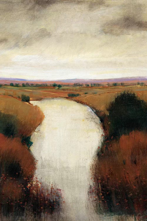 Misty River I by Tim OToole wall art
