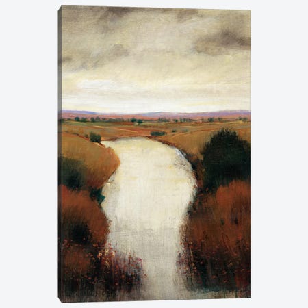Misty River I Canvas Print #TOT567} by Tim OToole Canvas Print