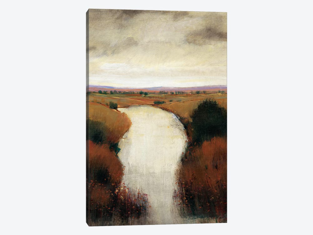 Misty River I by Tim OToole 1-piece Canvas Art