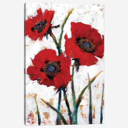 Red Poppy Fresco I Canvas Print #TOT571} by Tim OToole Canvas Art Print