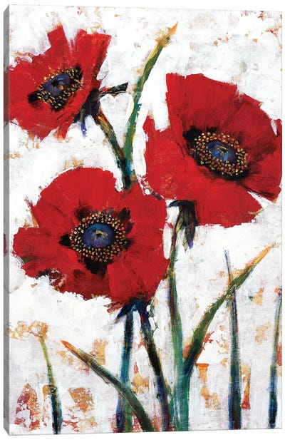 Red Poppy Fresco I Canvas Art Print - Poppy Art
