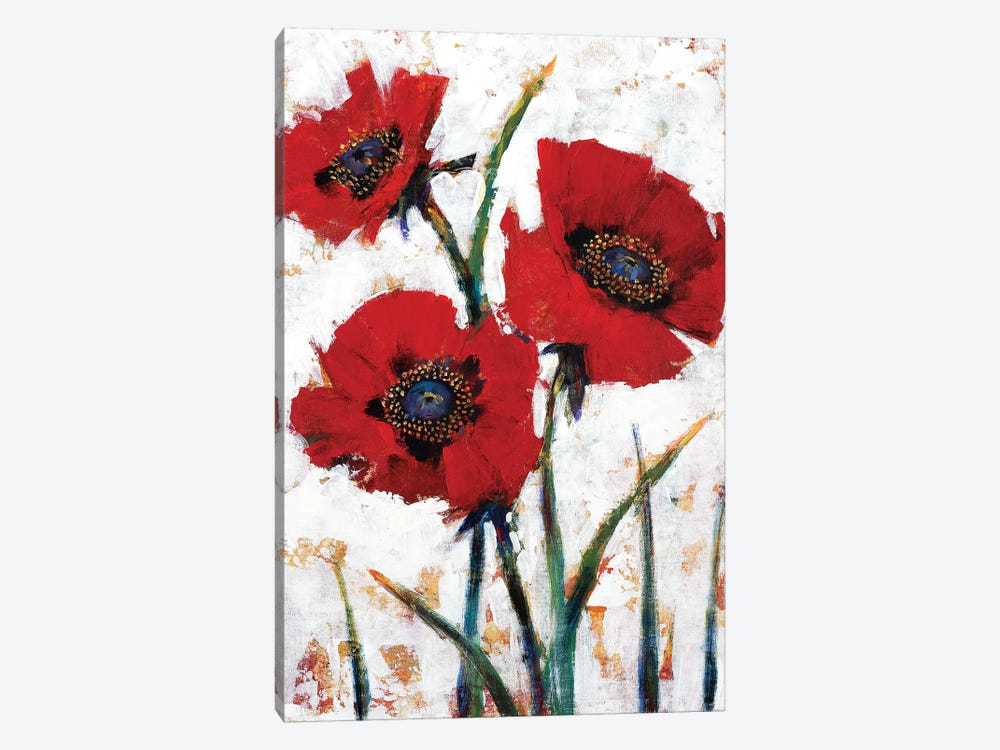 Red Poppy Fresco I by Tim OToole 1-piece Canvas Art Print