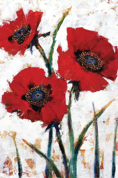 Poppies: Red Poppy Fresco I by Tim O'Toole