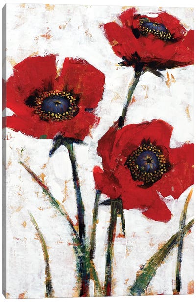 Red Poppy Fresco II Canvas Art Print - Tim O'Toole