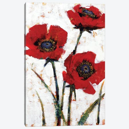 Red Poppy Fresco II Canvas Print #TOT572} by Tim OToole Canvas Print