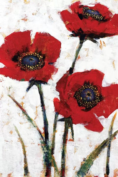 Poppies: Red Poppy Fresco II by Tim O'Toole