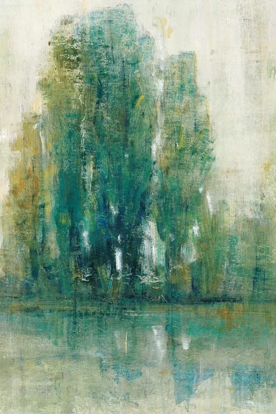 Spring Paysage I by Tim O'Toole canvas print