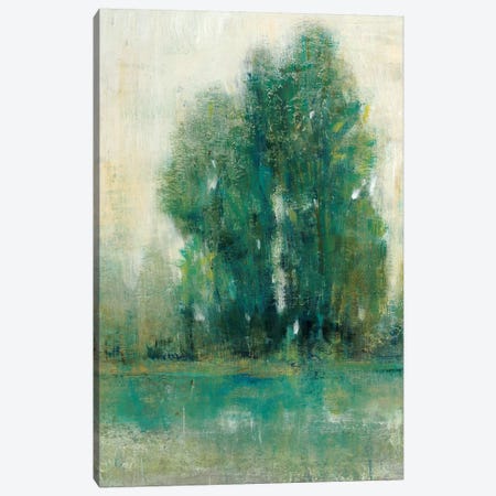 Spring Paysage II Canvas Print #TOT574} by Tim OToole Canvas Wall Art