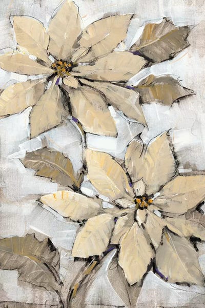 Poinsettias: Poinsettia Study II by Tim O'Toole