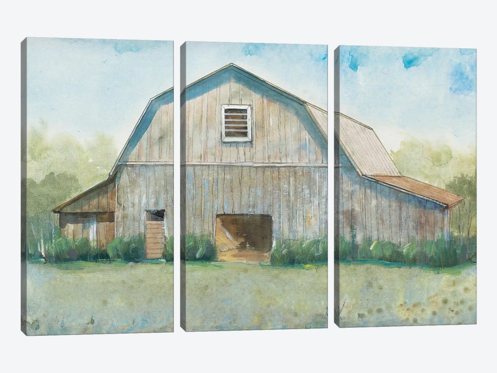 Country Life II by Tim OToole 3-piece Canvas Print