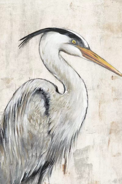 Grey Heron I by Tim O'Toole canvas print