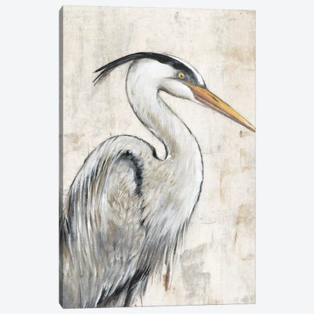 Grey Heron I Canvas Print #TOT585} by Tim OToole Canvas Art Print