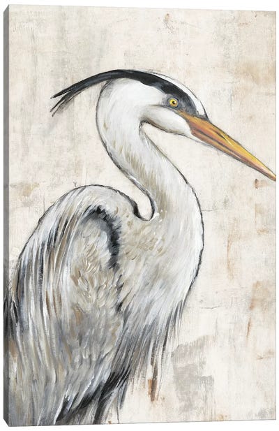 Grey Heron I Canvas Art Print - Tim O'Toole