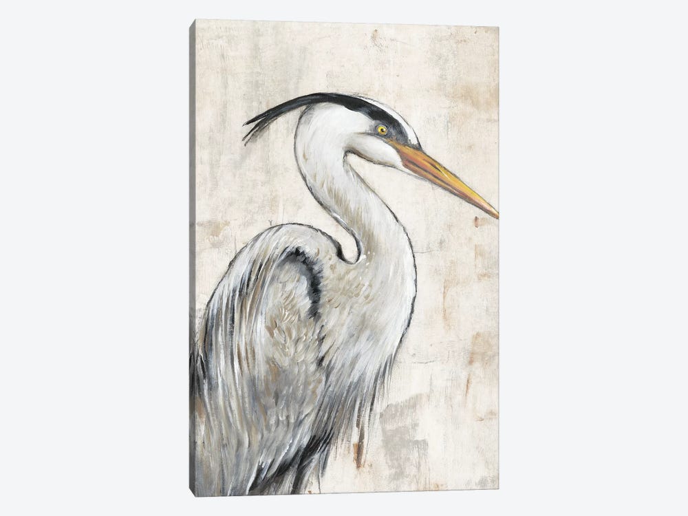 Grey Heron I by Tim OToole 1-piece Canvas Wall Art