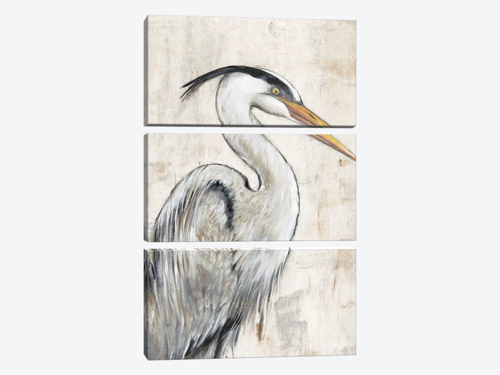 Grey Heron I by Tim OToole 3-piece Canvas Art
