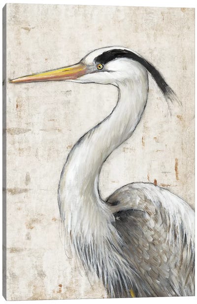Grey Heron II Canvas Art Print - Heron Art