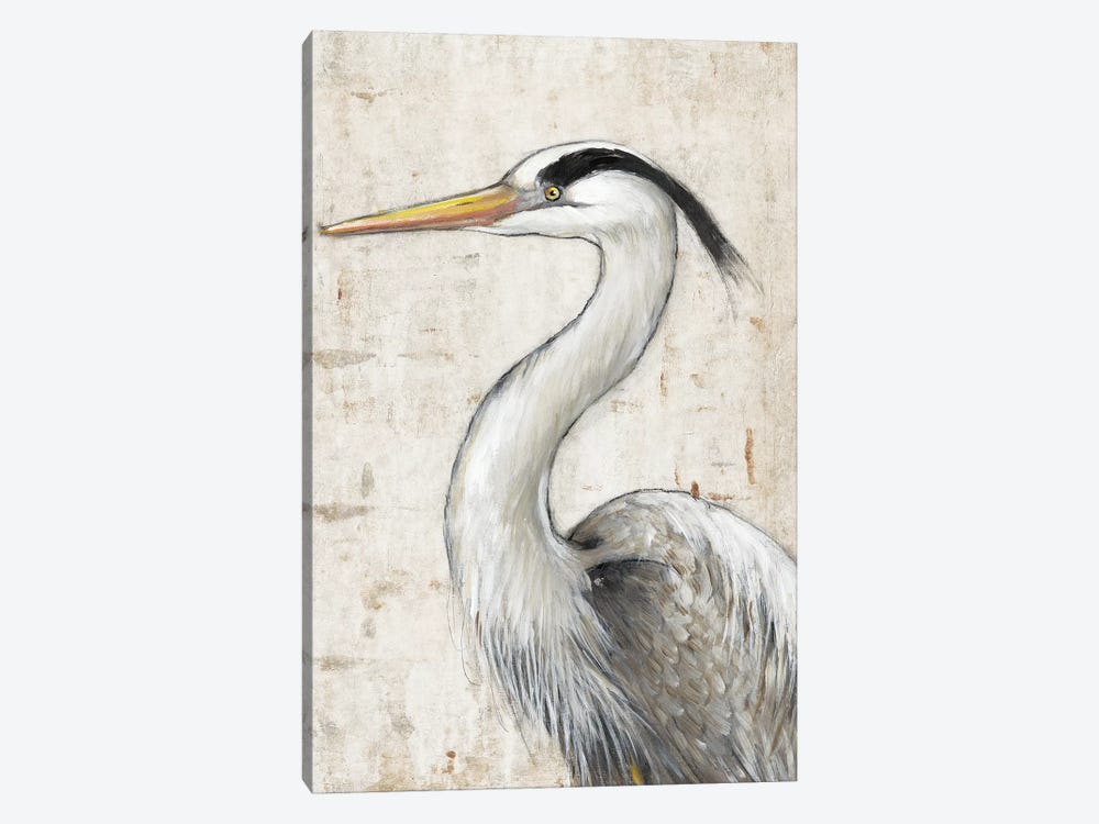 Grey Heron II by Tim OToole 1-piece Canvas Art Print