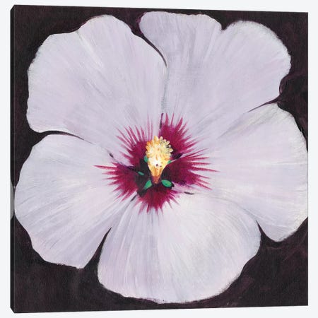 Hibiscus Portrait II Canvas Print #TOT588} by Tim OToole Canvas Wall Art