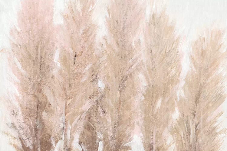 Pampas Grass I by Tim OToole wall art