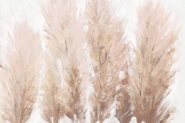 Grasses: Pampas Grass II by Tim O'Toole