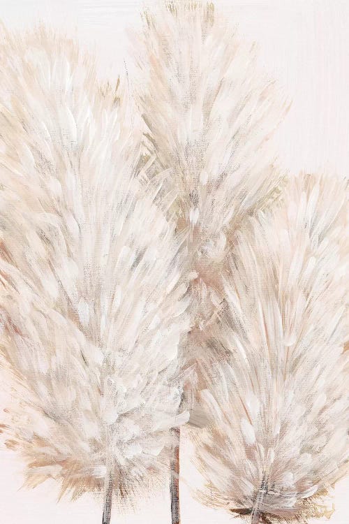 Pampas Grass IV