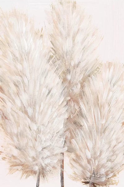 Grasses: Pampas Grass IV by Tim O'Toole
