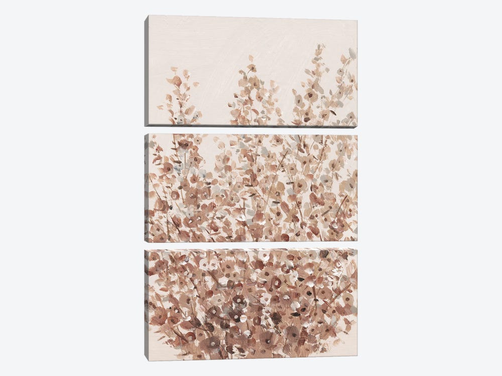 Rustic Wildflowers II by Tim OToole 3-piece Canvas Art Print