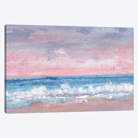 Coastal Pink Horizon I Canvas Print #TOT617} by Tim OToole Canvas Print