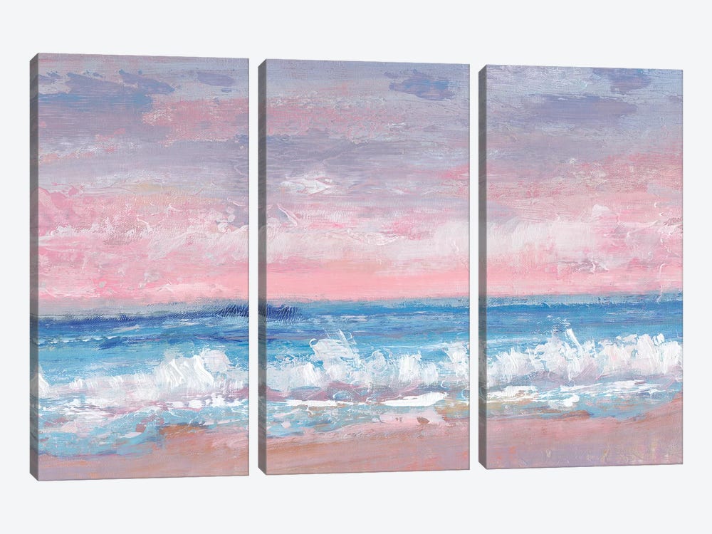 Coastal Pink Horizon I by Tim OToole 3-piece Canvas Art Print
