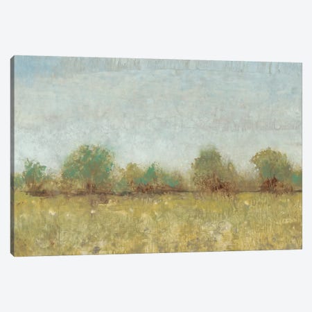 Spring Field I Canvas Print #TOT61} by Tim OToole Canvas Art Print
