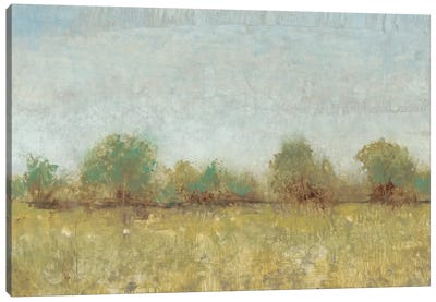 Spring Field I Canvas Art Print - Soft Yellow & Blue
