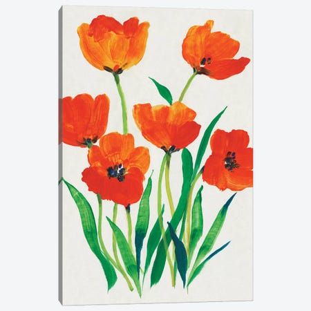 Red Tulips in Bloom I Canvas Print #TOT621} by Tim OToole Canvas Art Print