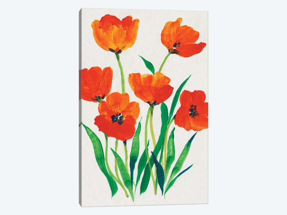 Red Tulips in Bloom I by Tim OToole 1-piece Canvas Artwork