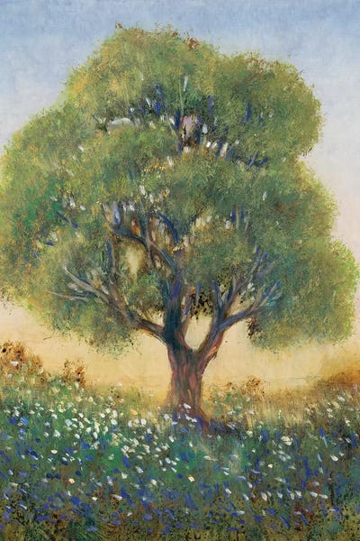 Standing in the Field I by Tim O'Toole framed canvas print