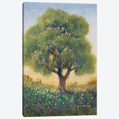 Standing in the Field I Canvas Print #TOT625} by Tim OToole Canvas Wall Art