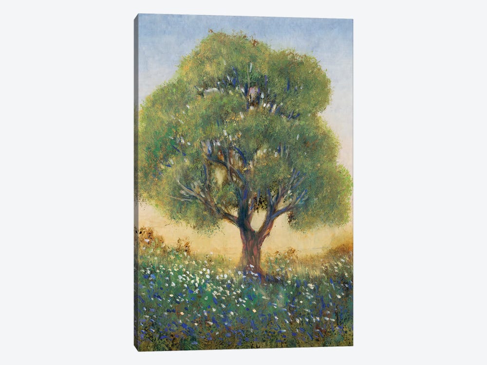 Standing in the Field I by Tim OToole 1-piece Canvas Wall Art