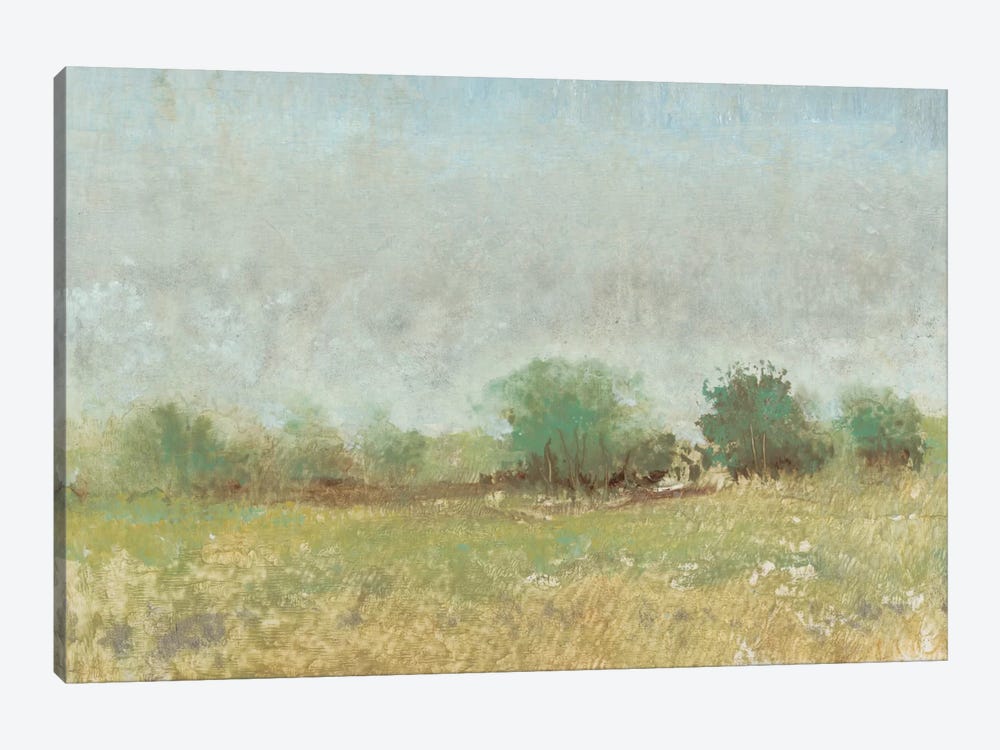 Spring Field II by Tim OToole 1-piece Canvas Art Print
