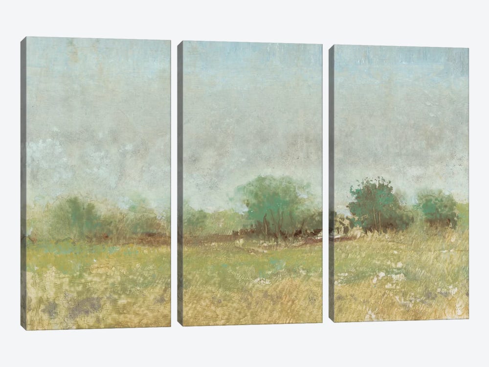 Spring Field II 3-piece Canvas Print