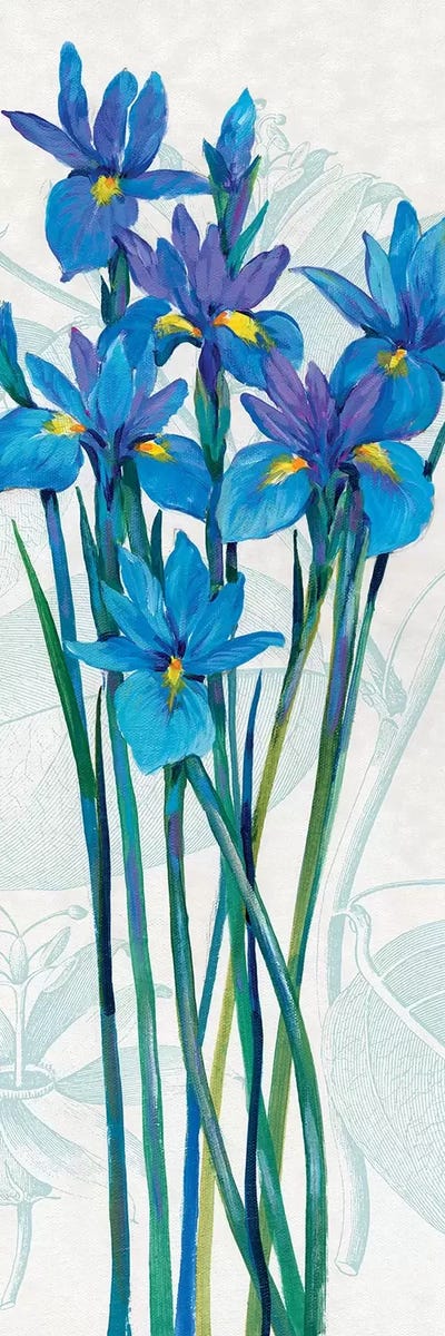 Blue Iris Panel I by Tim O'Toole acrylic art print