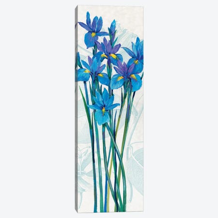 Blue Iris Panel I Canvas Print #TOT631} by Tim OToole Canvas Wall Art