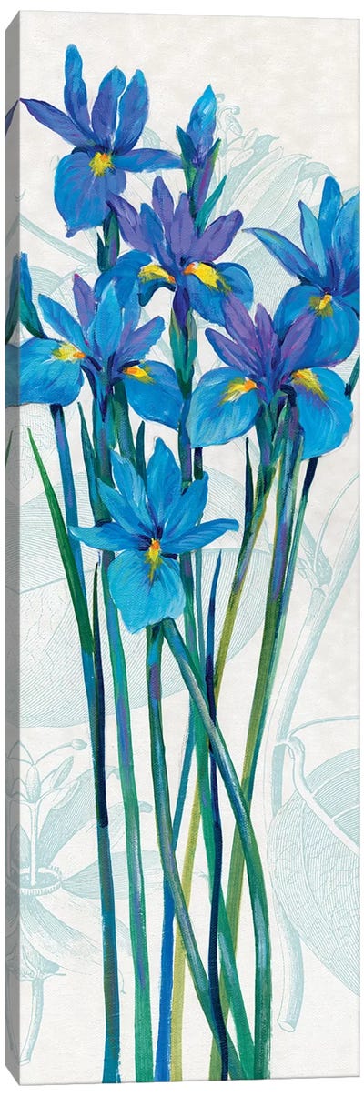 Blue Iris Panel I Canvas Art Print - Irises