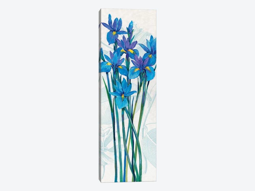 Blue Iris Panel I by Tim OToole 1-piece Canvas Art Print