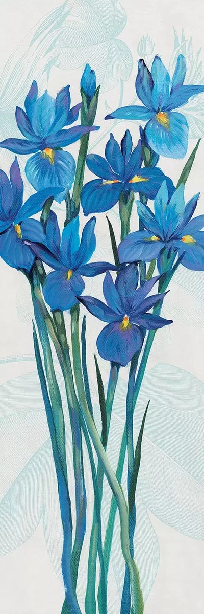 Blue Iris Panel II by Tim O'Toole acrylic art print