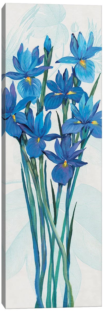 Blue Iris Panel II Canvas Art Print - Tim O'Toole