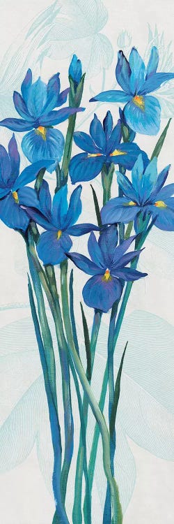 Blue Iris Panel II