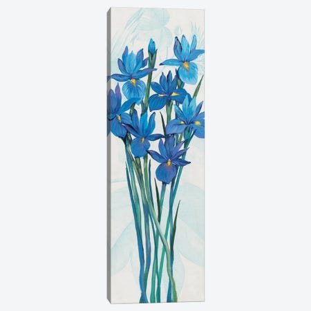 Blue Iris Panel II Canvas Print #TOT632} by Tim OToole Canvas Artwork